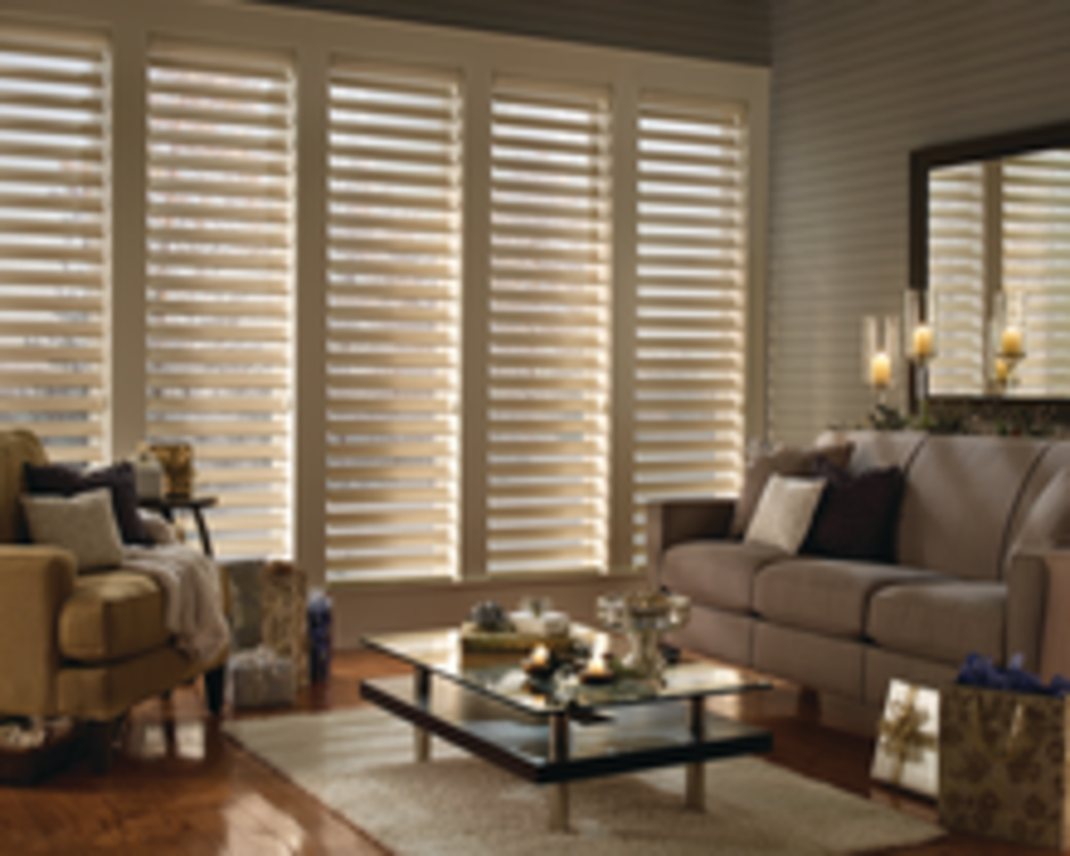 Hunter_Douglas_-_Silhouette_Window_Shadings - McFeely Window Fashions